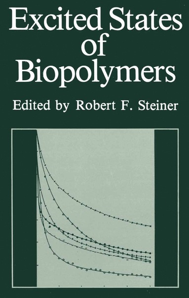 bokomslag Excited States of Biopolymers