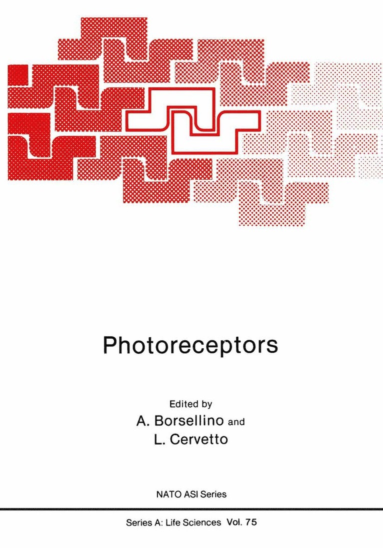 Antonio Borsellino - Photoreceptors, Häftad