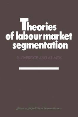 bokomslag Theories of labour market segmentation