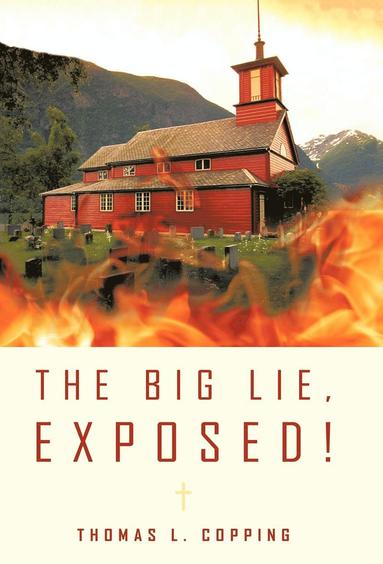 bokomslag Big Lie, Exposed!