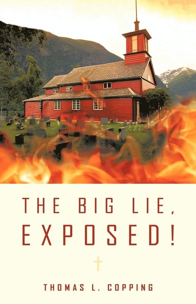 bokomslag Big Lie, Exposed!