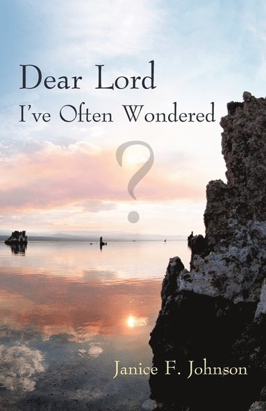 bokomslag Dear Lord I've Often Wondered