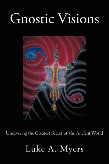 bokomslag Gnostic Visions
