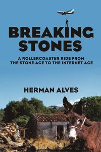 bokomslag Breaking Stones