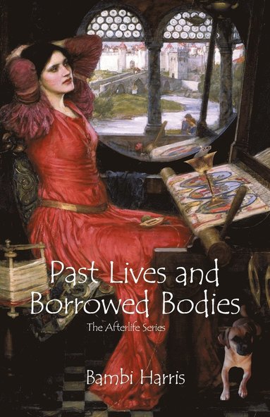 bokomslag Past Lives and Borrowed Bodies