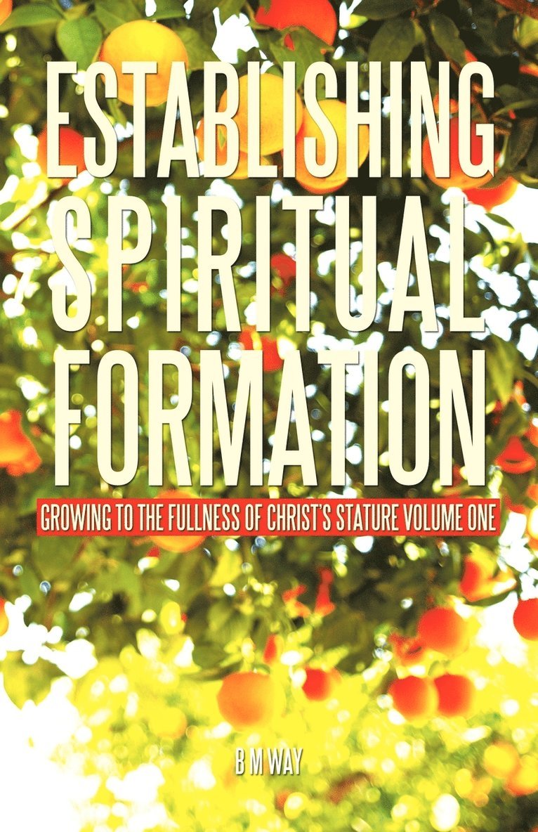 Establishing Spiritual Formation 1