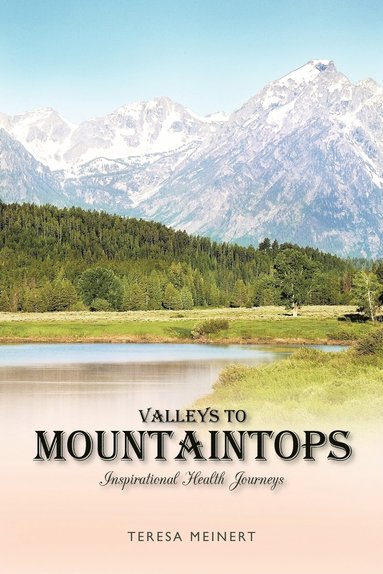 bokomslag Valleys to Mountaintops