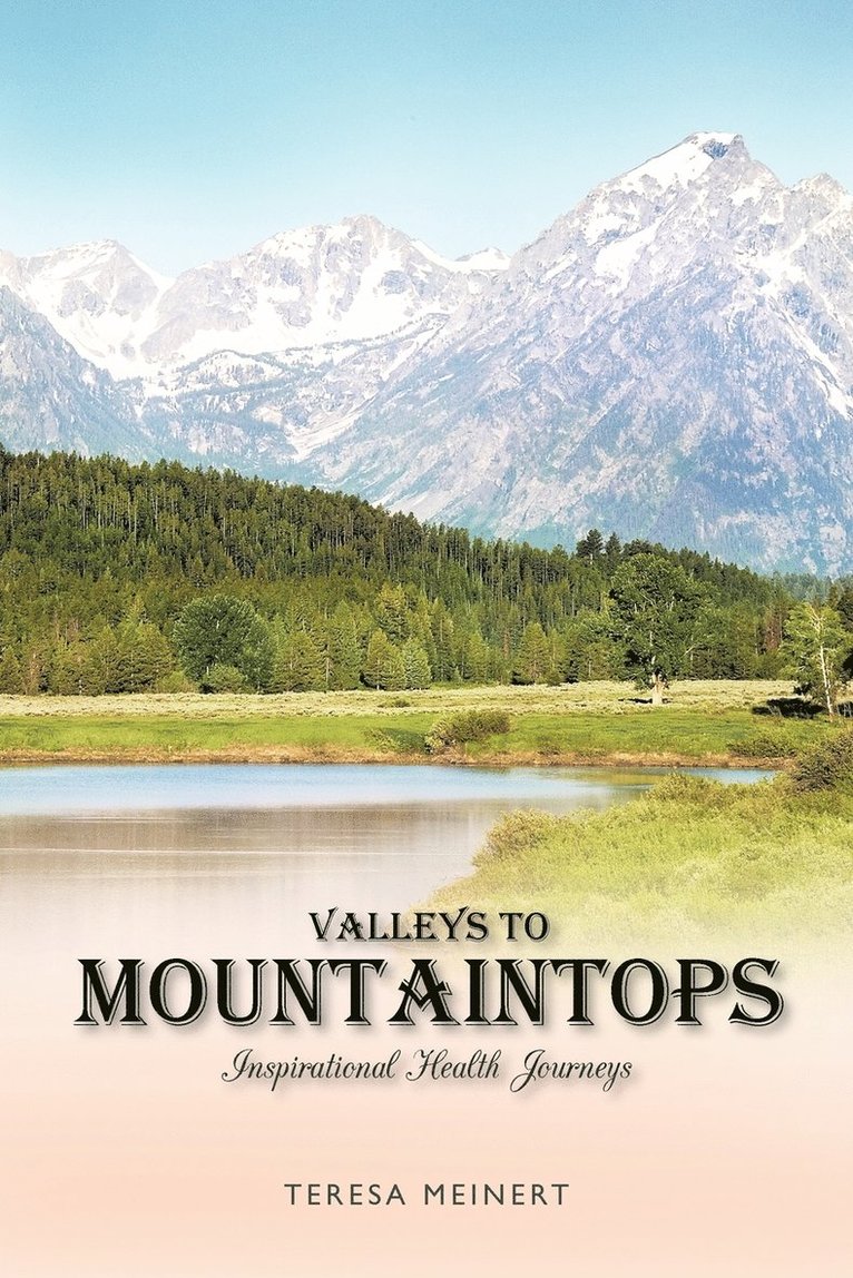 Teresa Meinert - Valleys to Mountaintops, Häftad