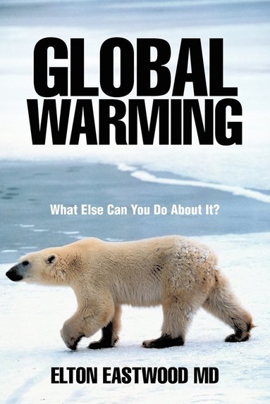bokomslag Global Warming