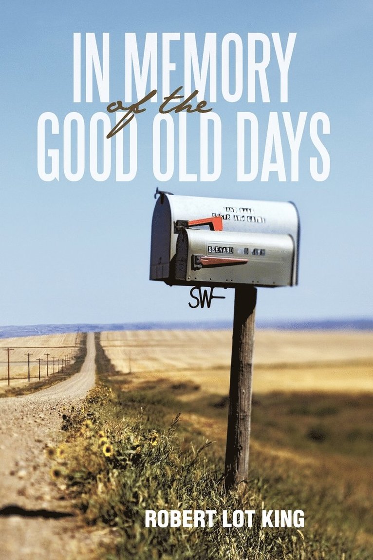 Robert Lot King - In Memory of the Good Old Days, Häftad