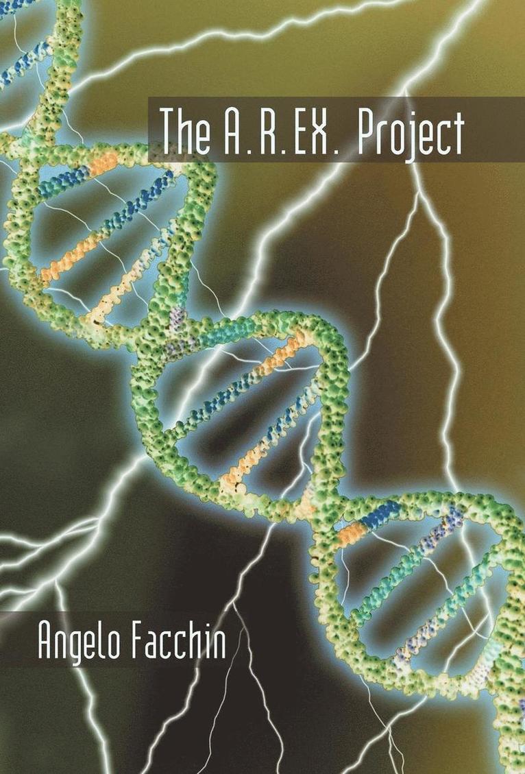 Angelo Facchin - A.R.Ex. Project, Inbunden
