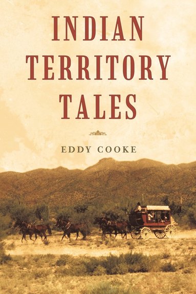 bokomslag Indian Territory Tales