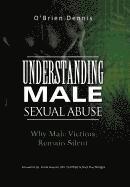 bokomslag Understanding Male Sexual Abuse