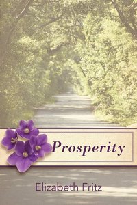 bokomslag Prosperity
