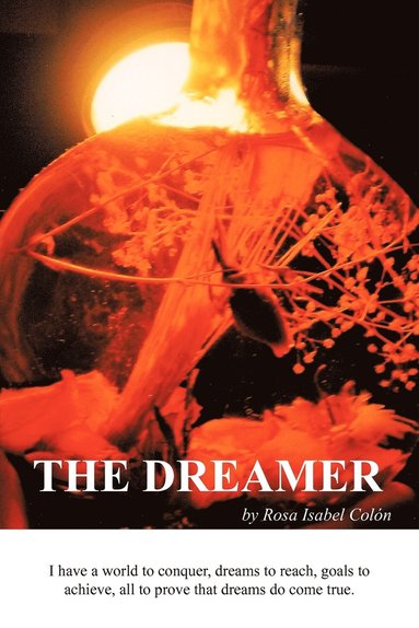 bokomslag Dreamer