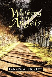 bokomslag Walking with Angels