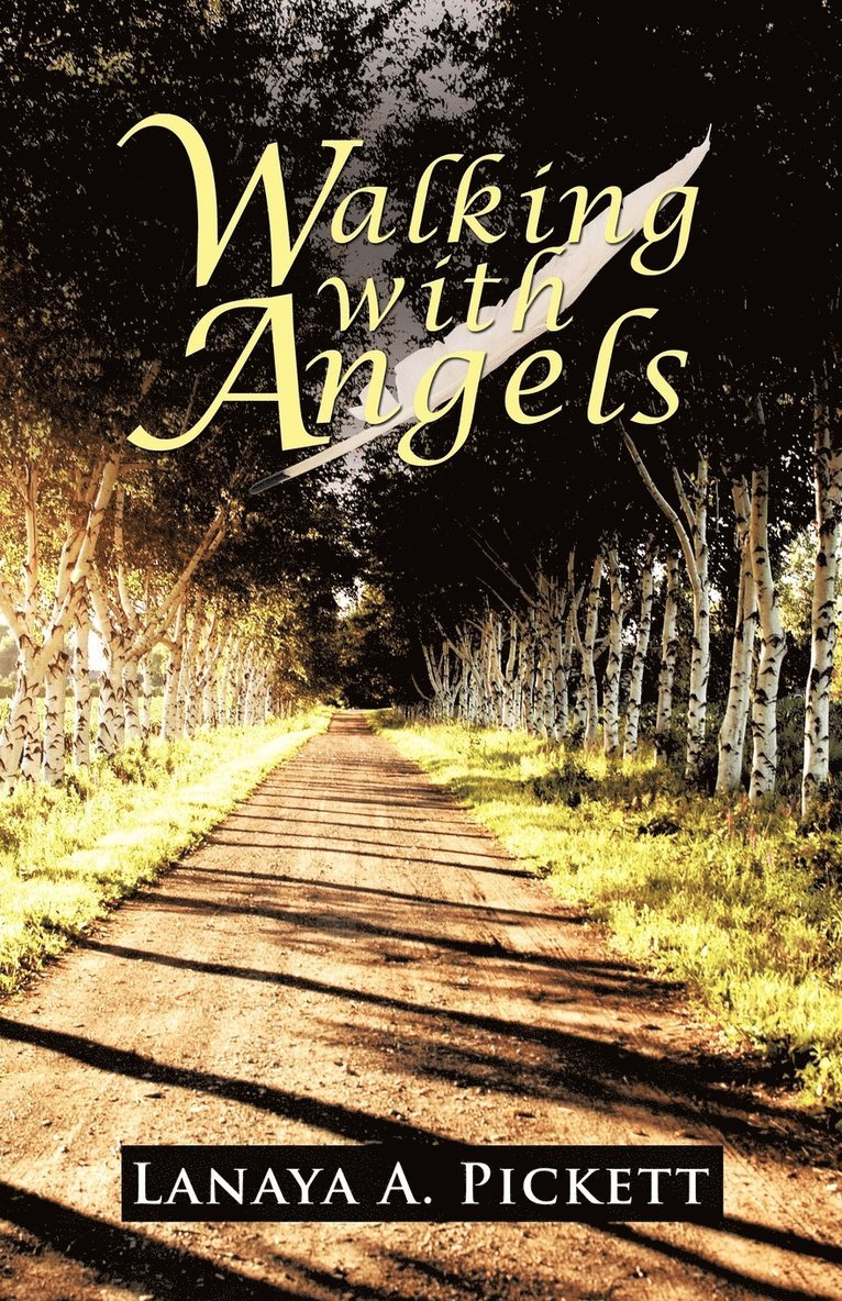 Walking with Angels 1