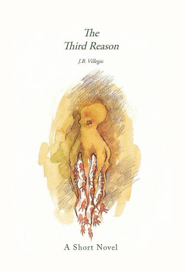 bokomslag Third Reason