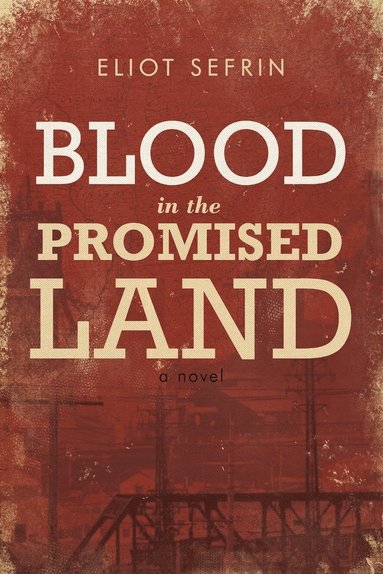 bokomslag Blood in the Promised Land