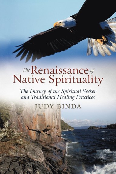 bokomslag Renaissance of Native Spirituality