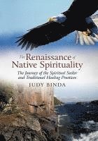 bokomslag The Renaissance of Native Spirituality