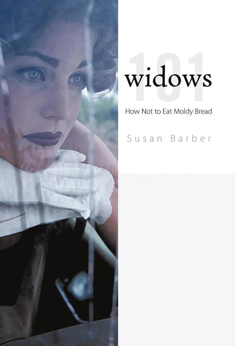 Susan Barber - Widows 101, Inbunden