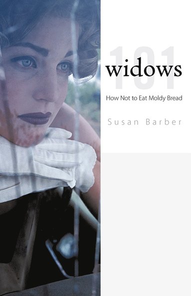 bokomslag Widows 101