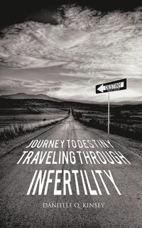 bokomslag Journey to Destiny, Traveling Through Infertility