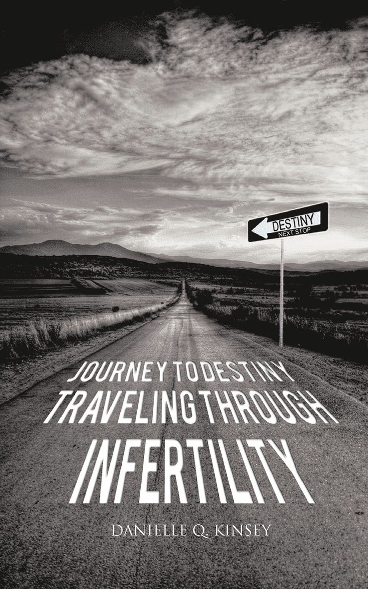 Danielle Q Kinsey, Danielle Q. Kinsey - Journey to Destiny, Traveling Through Infertility, Häftad