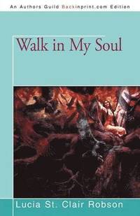bokomslag Walk in My Soul