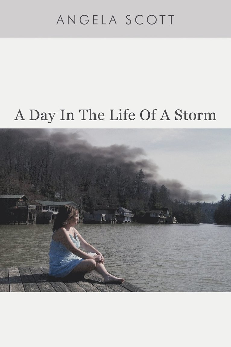 Angela Scott - Day in the Life of a Storm, Häftad