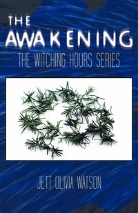 bokomslag Awakening Book 1