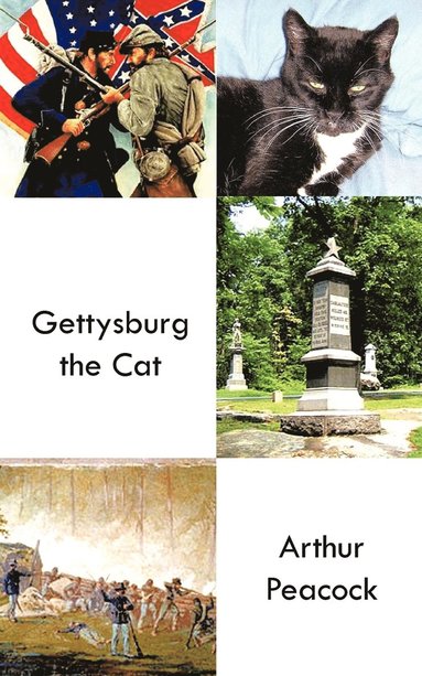 bokomslag Gettysburg the Cat