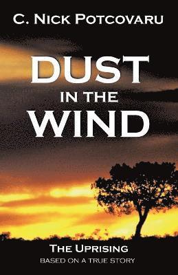 Dust in the Wind 1