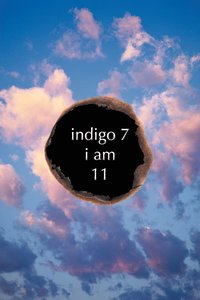 bokomslag Indigo 7