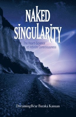 bokomslag Naked Singularity