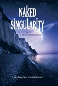 bokomslag Naked Singularity