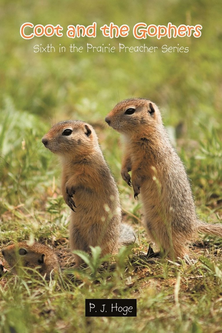 Coot and the Gophers 1