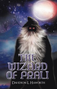 bokomslag Wizard of Prali
