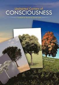 bokomslag Uncharted Corners of Consciousness