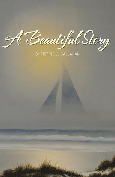 bokomslag Beautiful Story