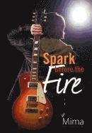 A Spark Before the Fire 1