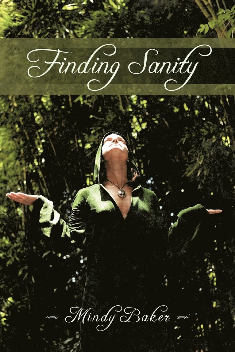 Finding Sanity 1