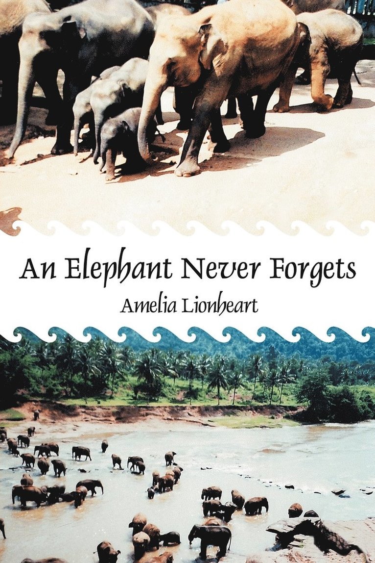 An Elephant Never Forgets 1