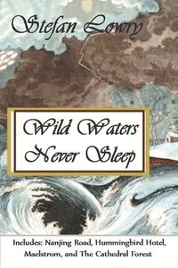 bokomslag Wild Waters Never Sleep