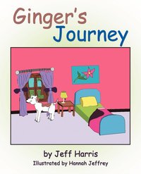 bokomslag Ginger's Journey