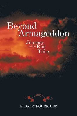 bokomslag Beyond Armageddon