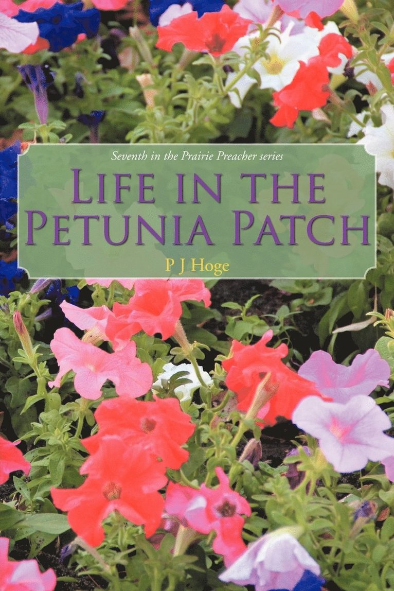 Life in the Petunia Patch 1