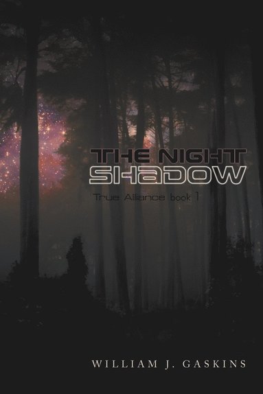 bokomslag Night Shadow