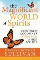 bokomslag The Magnificent World of Spirits: Eyewitness Accounts of Where We Go When We Die